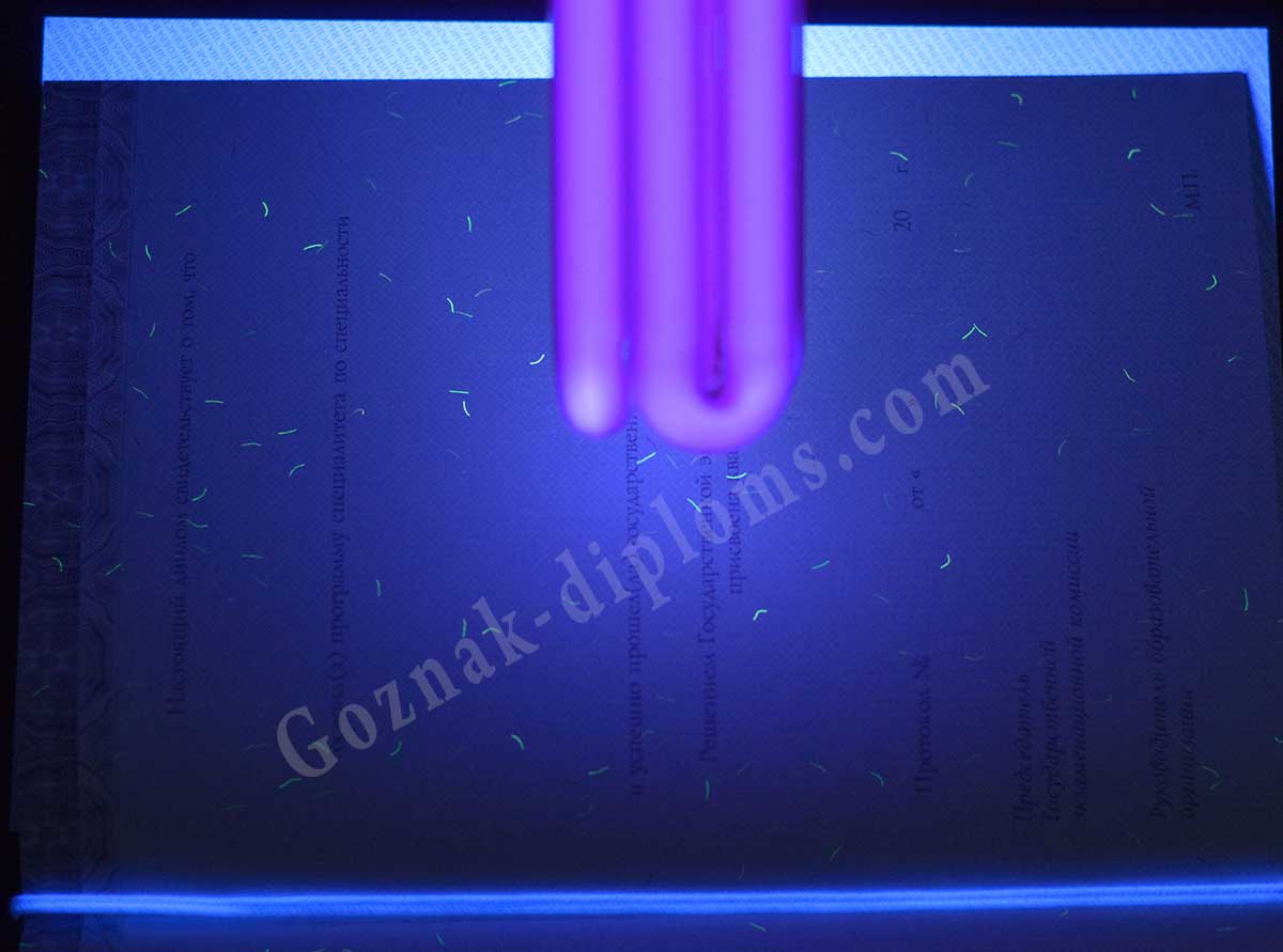 Диплом специалиста 2014-2026